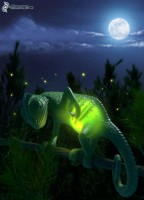 /album/las-meras-fotos/imagenes-4ever-eu-luna-llena-bosque-152307-jpg/